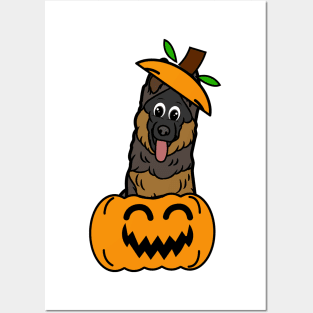 Cute Guard Dog is in a pumpkin Posters and Art